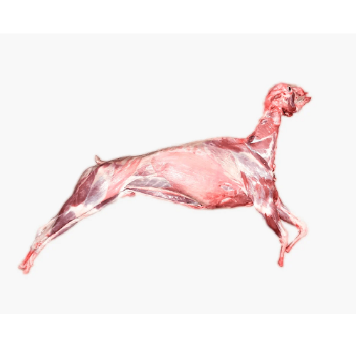 http://atiyasfreshfarm.com/storage/photos/1/Products/Grocery/Whole Goat With Head & Liver.png